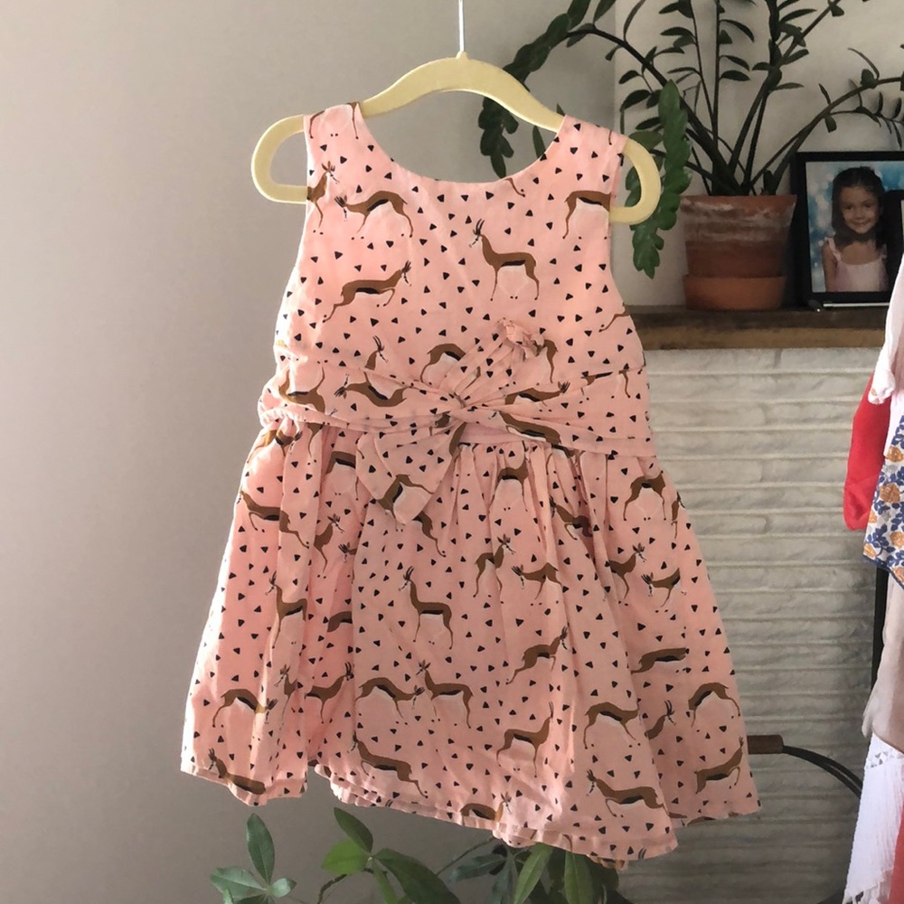 Adorable Oshkosh dress